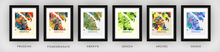 Load image into Gallery viewer, Annapolis Map Print - Full Color Map Poster

