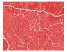 Charger l&#39;image dans la galerie, Affiche cartographique de Sao Paulo - Style Classique
